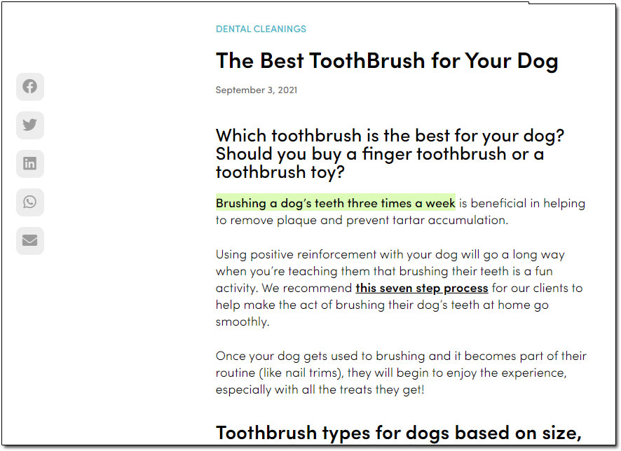 Dog toothbrush web page example